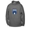 ATC™ PTECH® FLEECE YOUTH HOODIE Thumbnail